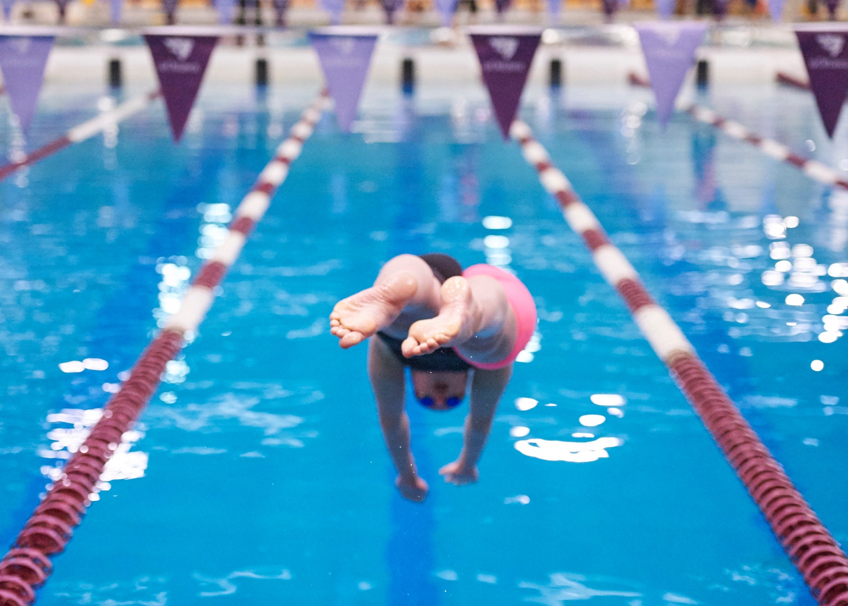 Swimmer dives into pool.